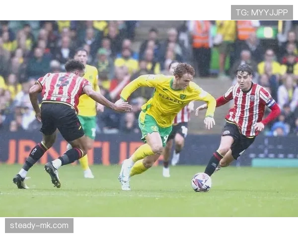 谢菲联锋线迎来强援,球队进攻实力有望显著提升 谢菲联锋线迎来强援,球队进攻实力有望显著提升